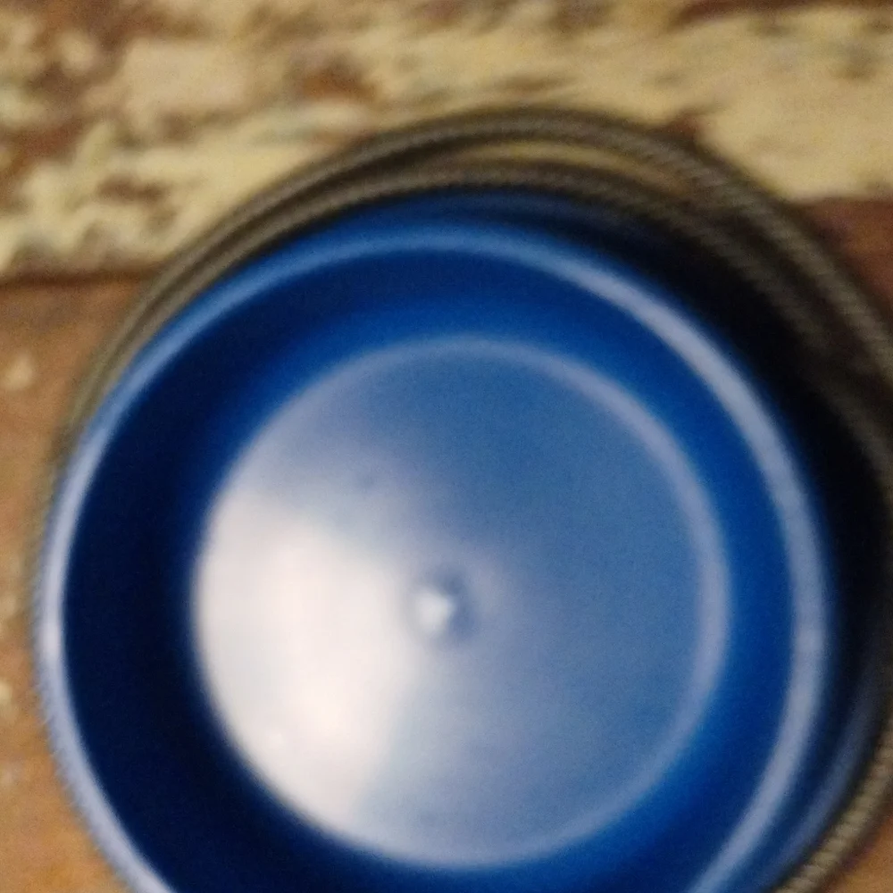 Heated pet bowl blue